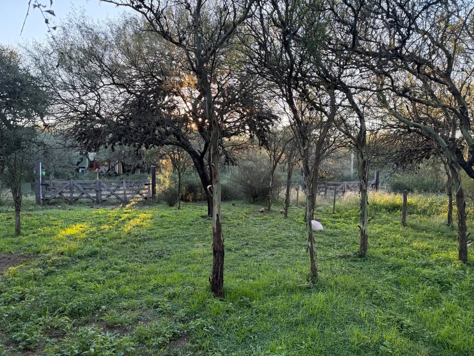 Casa en Las Rabonas - Traslasierra - Córdoba — foto 10
