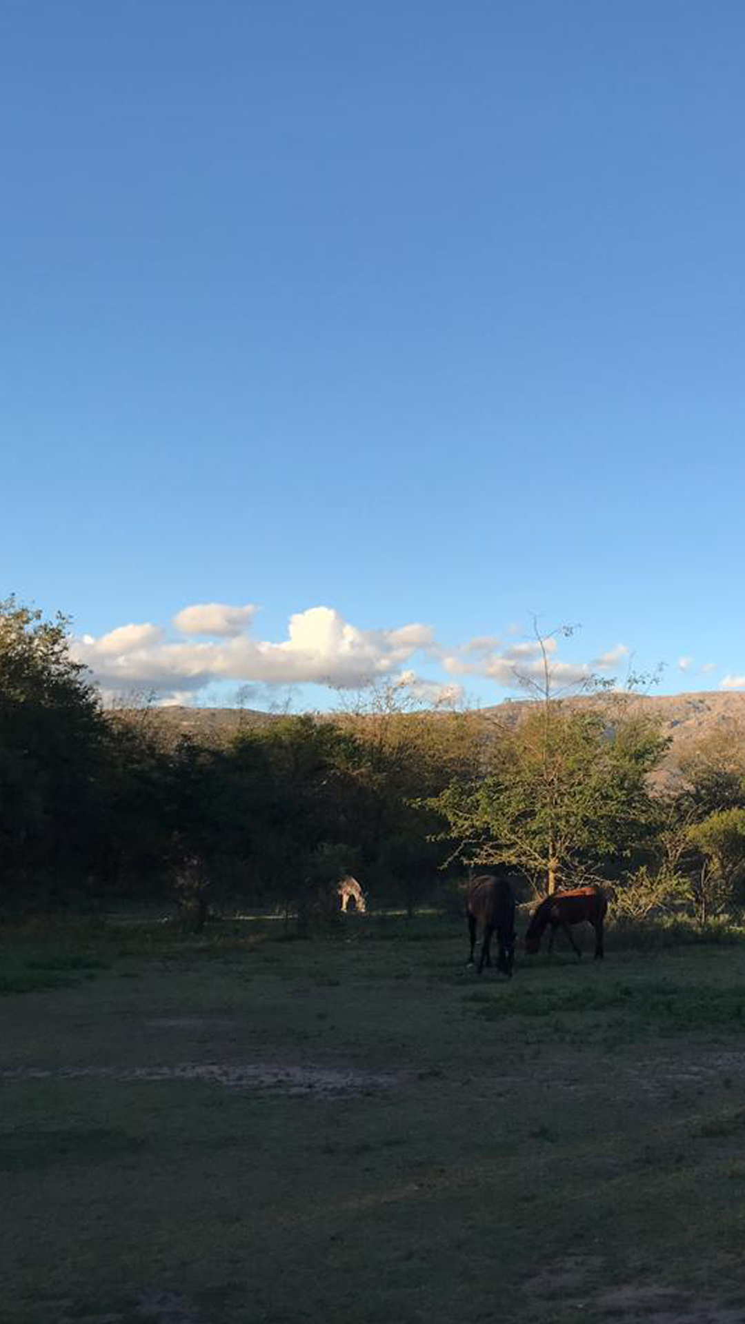 Lote en venta - Nono - Córdoba — foto 3