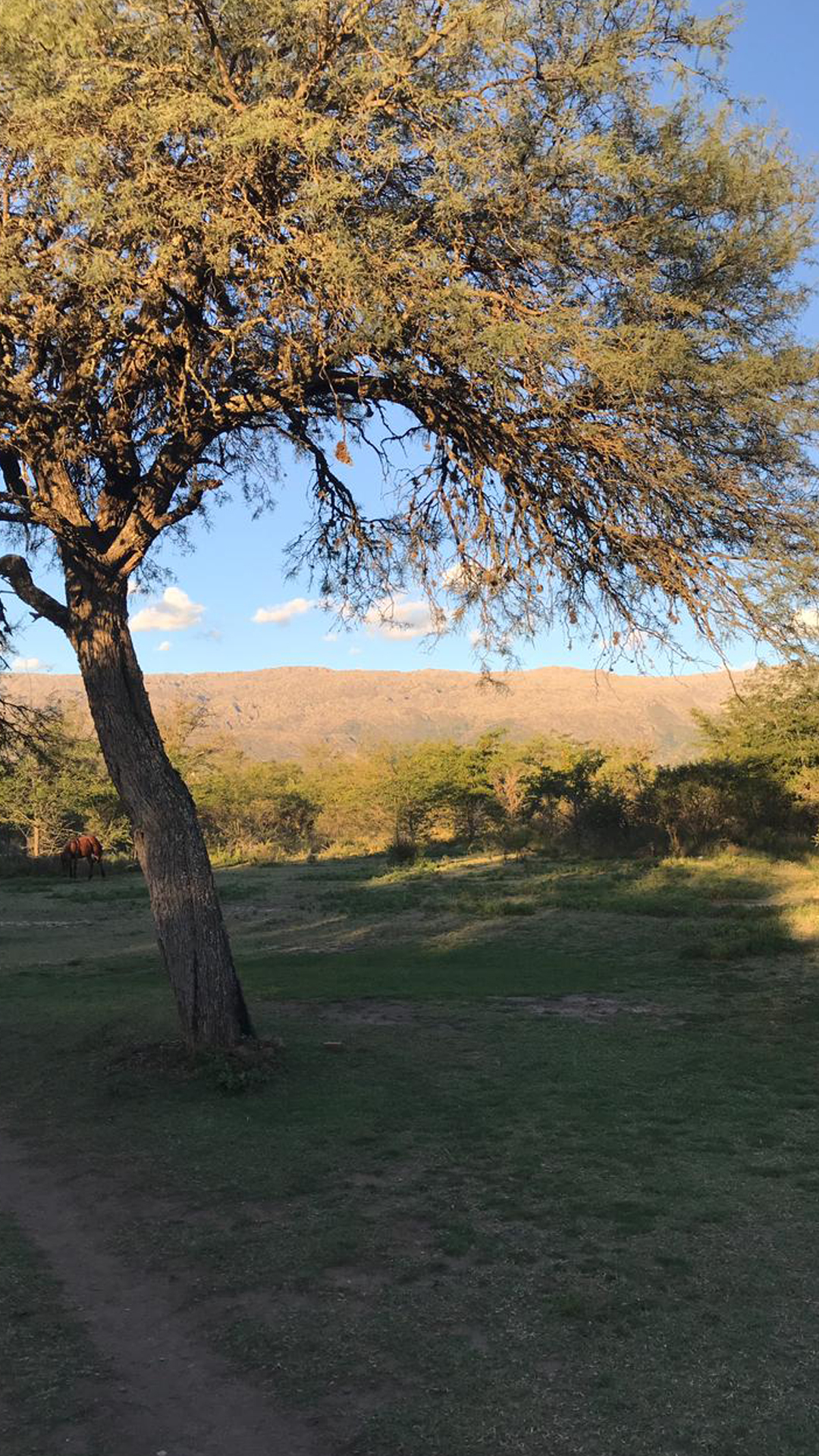 Lote en venta - Nono - Córdoba — foto 5