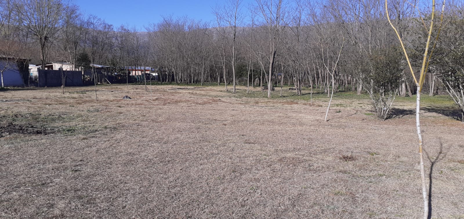 Lote en venta - Las Calles - Traslasierra - Cordoba — foto 2