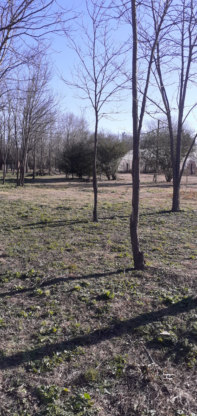 Lote en venta - Las Calles - Traslasierra - Cordoba — foto 4