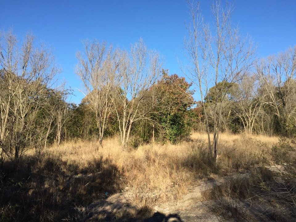 Lote en venta - Arroyo de los patos - Traslasierra - Cordoba — foto 4