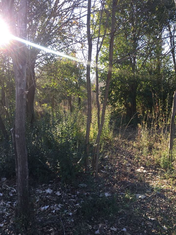 Lote en venta - Arroyo de los patos - Traslasierra - Cordoba — foto 8