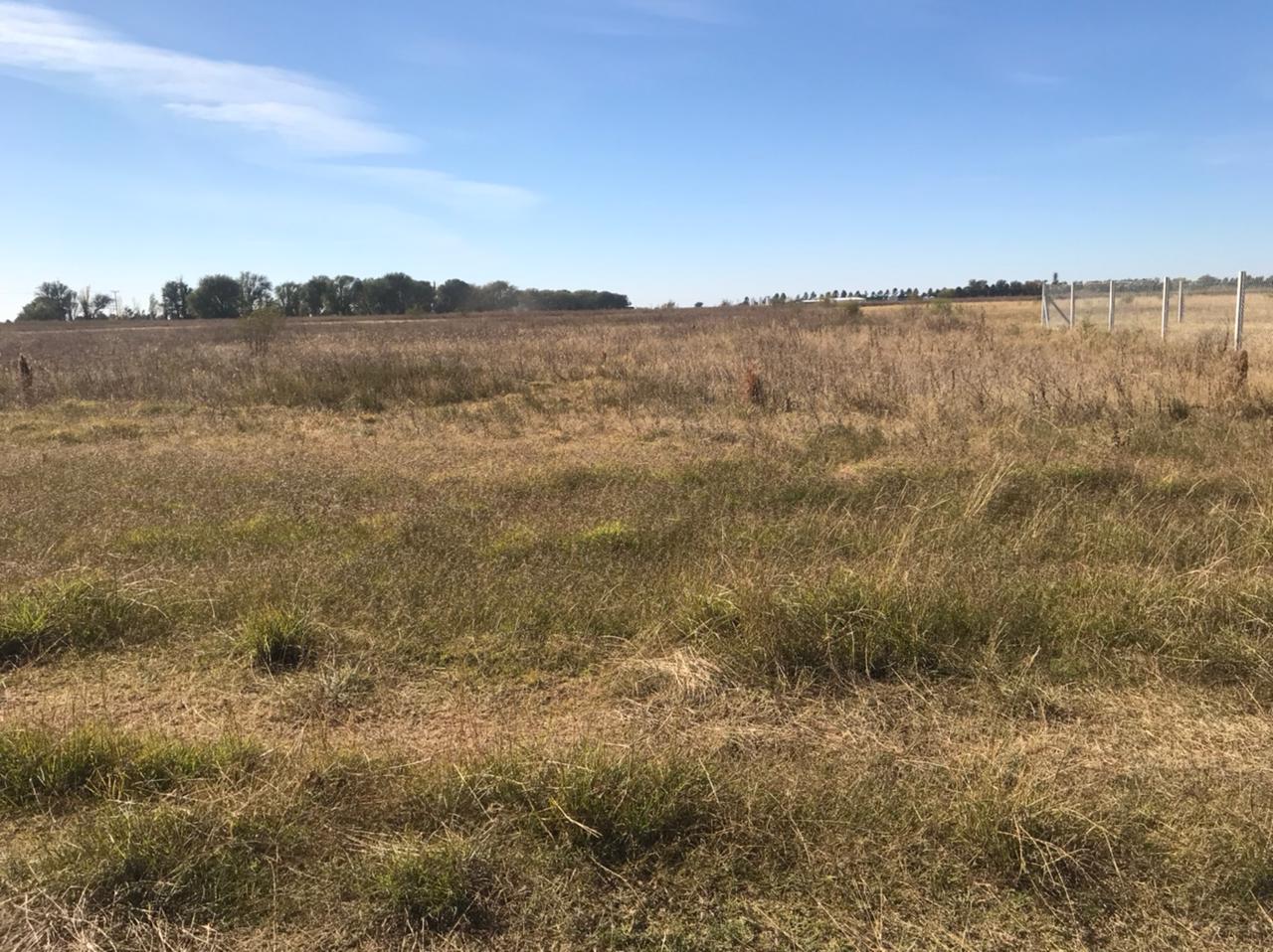 Lote en venta - Huinca Renanco - Cordoba — foto 5