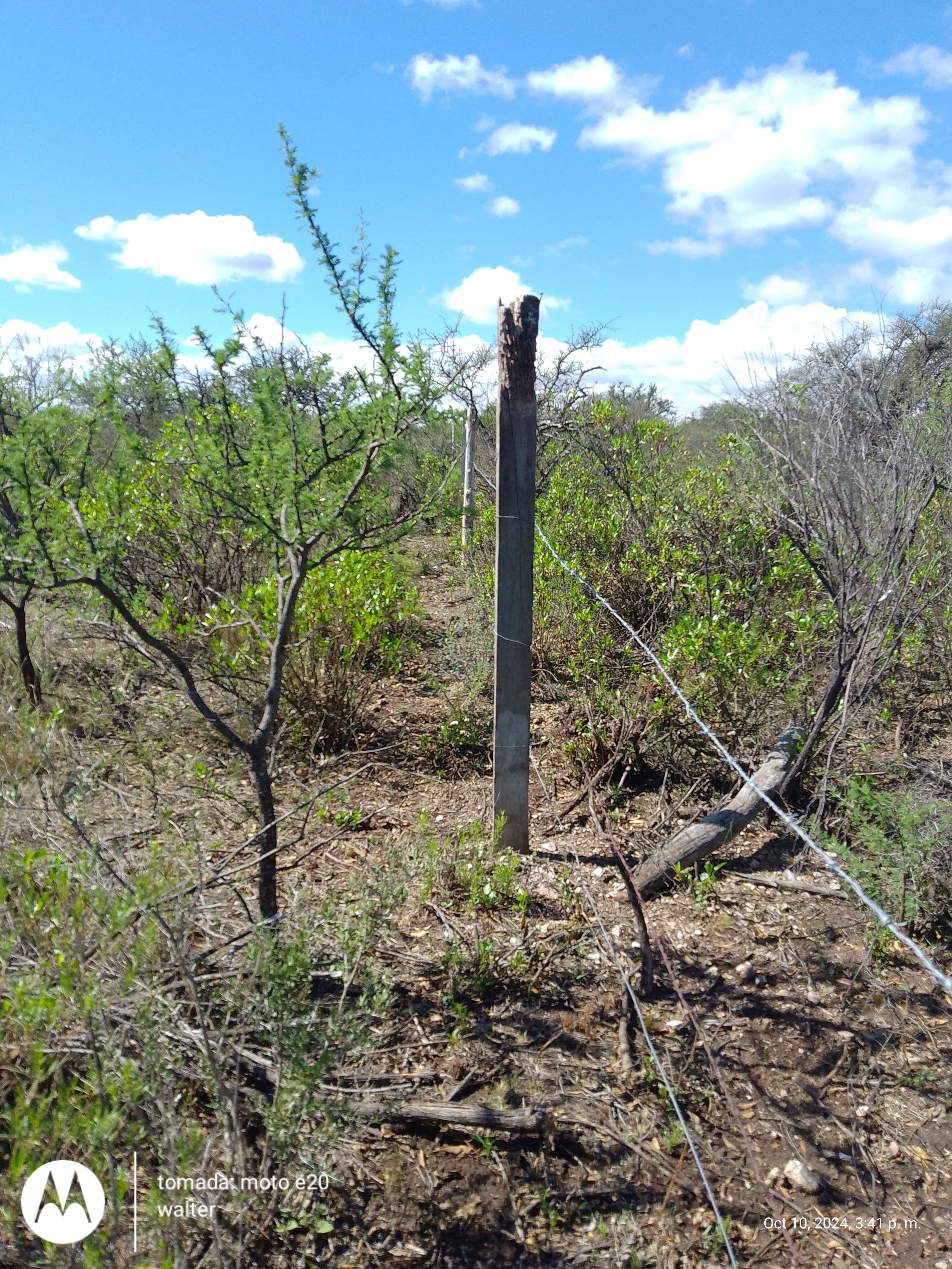 Lote en venta - Los Hornillos - Traslasierra  - Cordoba — foto 4