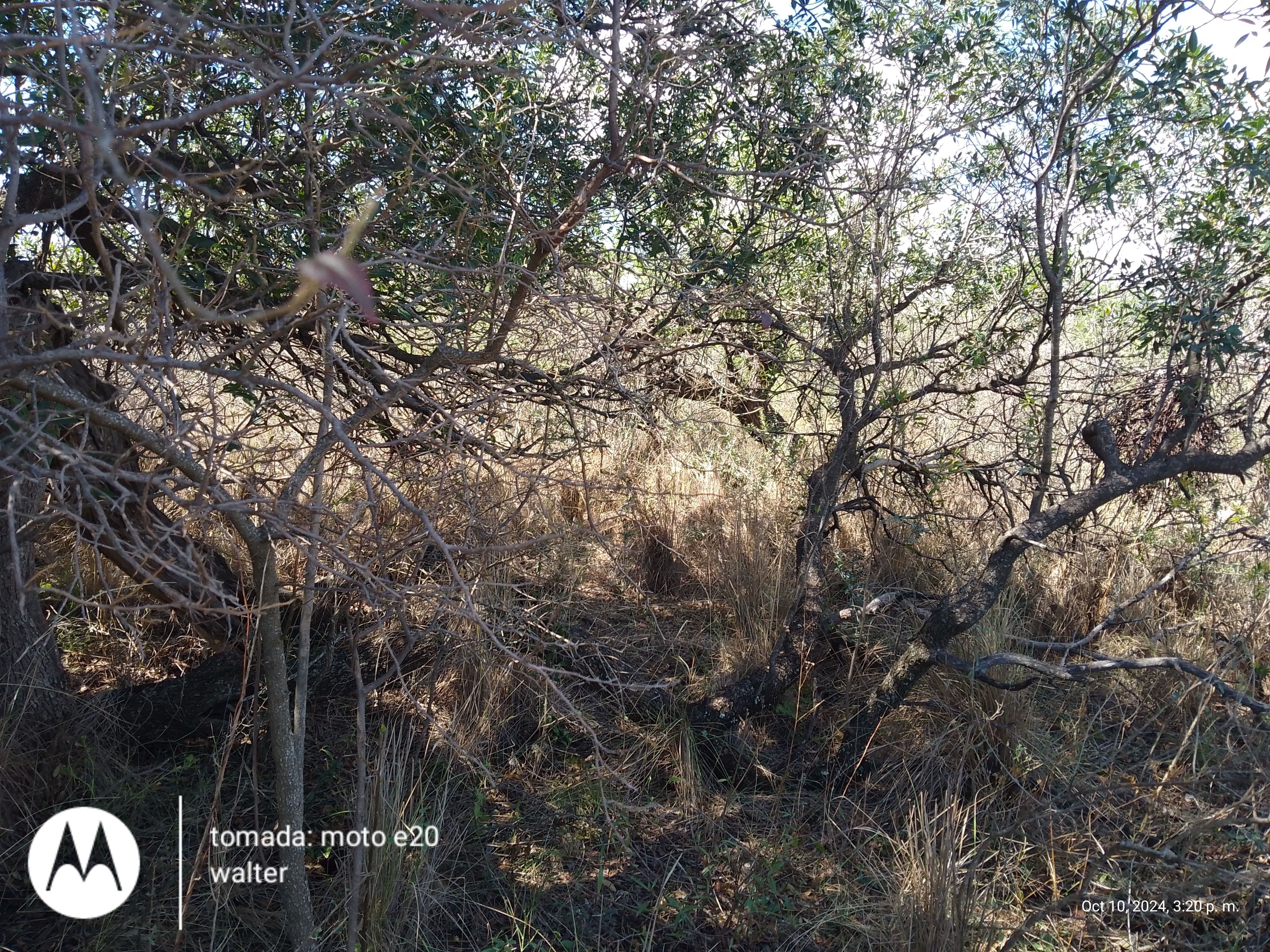 Lote en venta - Los Hornillos - Traslasierra  - Cordoba — foto 9