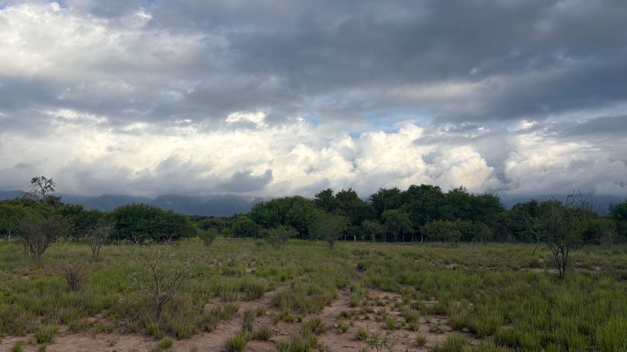 Lote en venta - Las Calles  - Traslasierra - Córdoba — foto 5